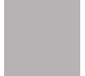 RAL 9006 